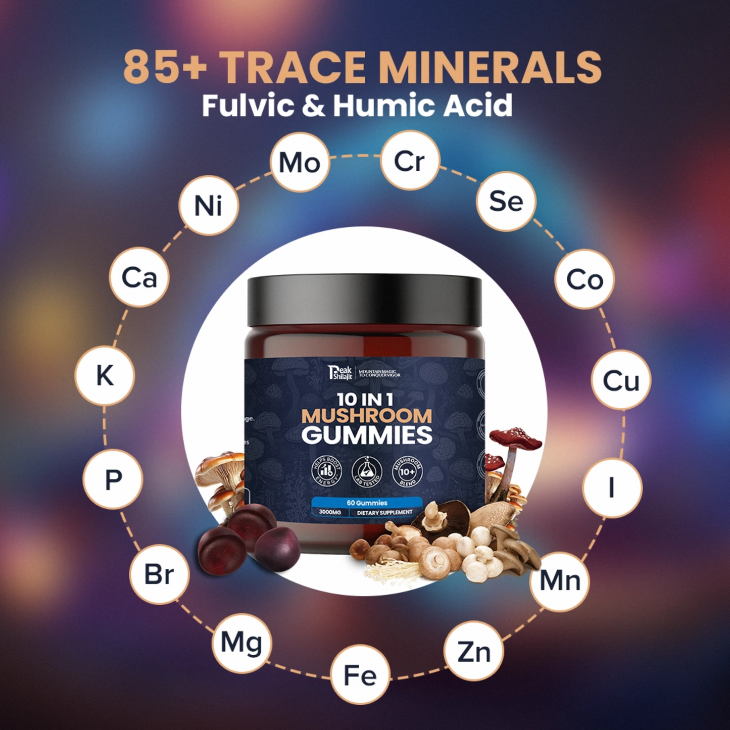 PEAKSHILAJIT 10 IN 1 MUSHROOM DAILY GUMMIES