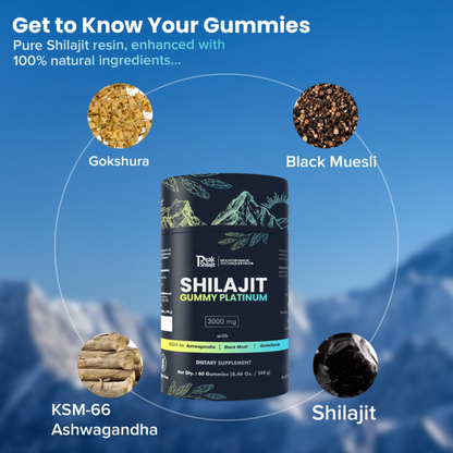 PEAKSHILAJIT GUMMY PLATINUM™