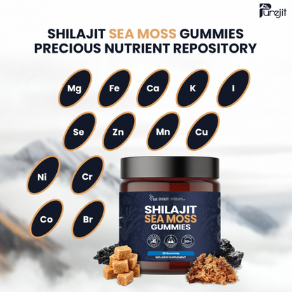 SHILAJIT & SEAMOSS 2 IN 1 WELLNESS GUMMIES