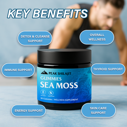 PEAKSHILAJIT SEA MOSS GUMMIES ELDERBERRY & BLACK SEED OIL