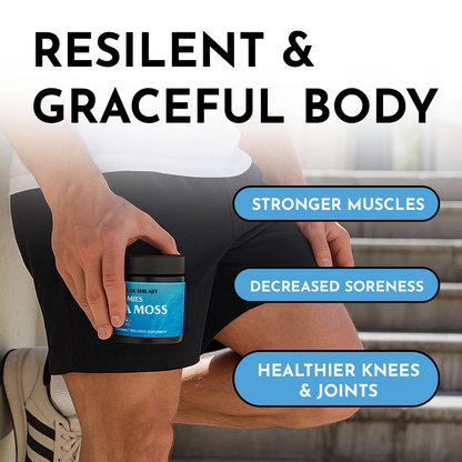 PEAKSHILAJIT SEA MOSS GUMMIES ELDERBERRY & BLACK SEED OIL